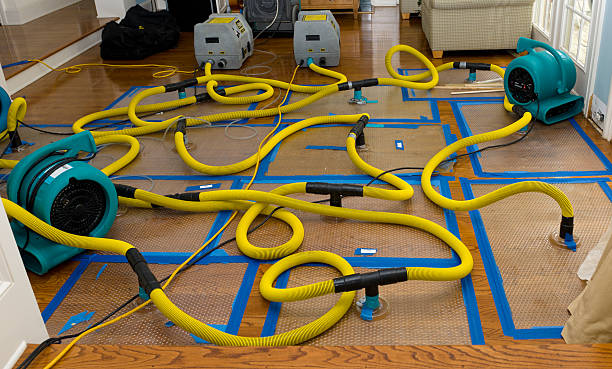 Professional Crawl Space Water Removal technician working in Freeland, PA